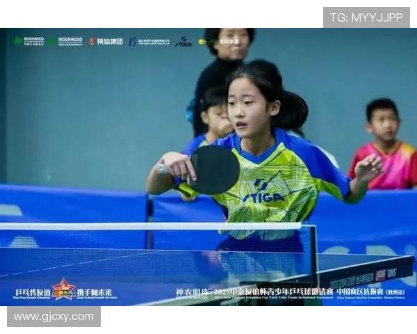 乒乓球盛宴：深入西安乒乓球队的训练与荣耀之路