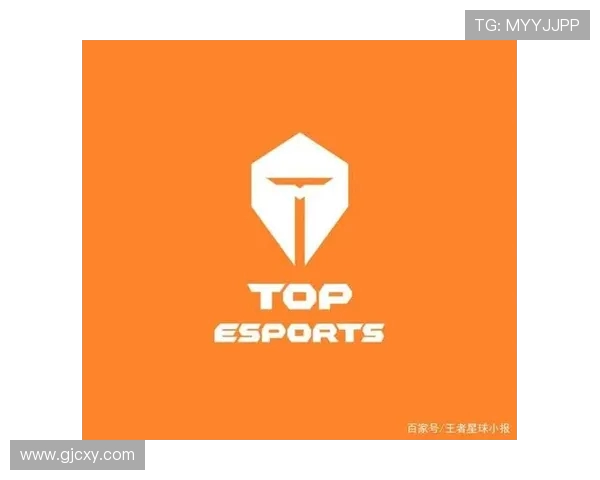 TES战队灵活性分析：数据透视其战术调整与应对能力