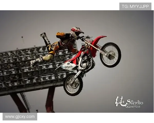 上海极限运动队战术解析与对比研究全面解读