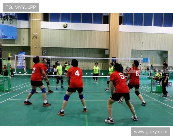 专访陈伟：探寻排球辉煌背后的成功秘诀与奋斗历程