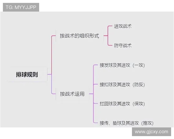 北京排球队灵活性揭秘：排球运动中的技巧与战术分析