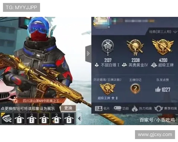 和平精英热议LNG耐力争议引发玩家热烈讨论与反思