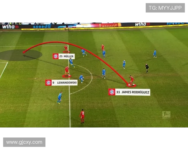 广州排球队的反击革新之路：重塑战术与团队精神的全新探索