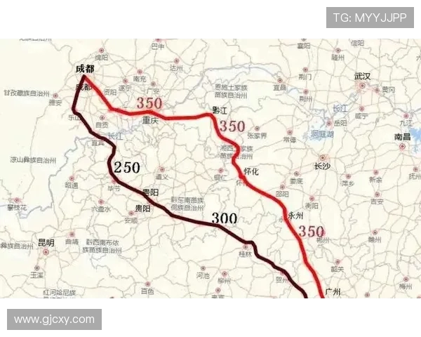 成都排球队与广州排球队赛后分析力量对比与战术探讨