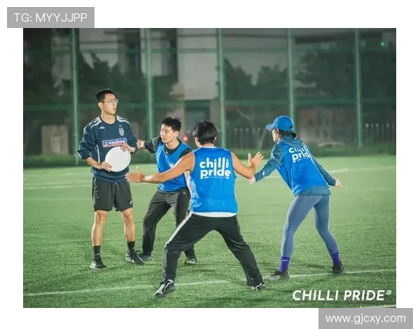 杭州飞盘队区域防守分析与战术得失探讨