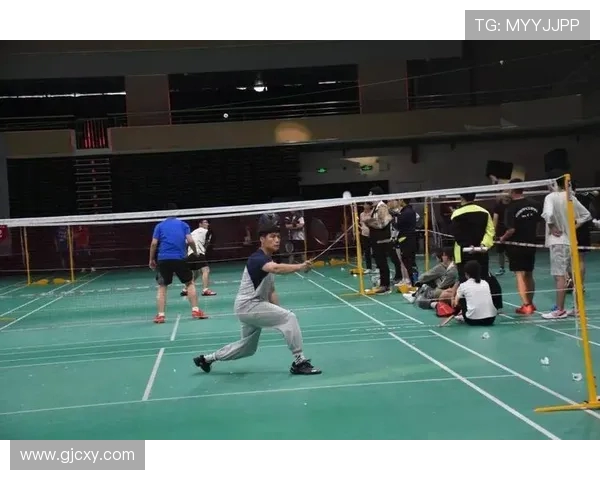 杭州羽毛球队的阵地战解析与发展趋势探讨