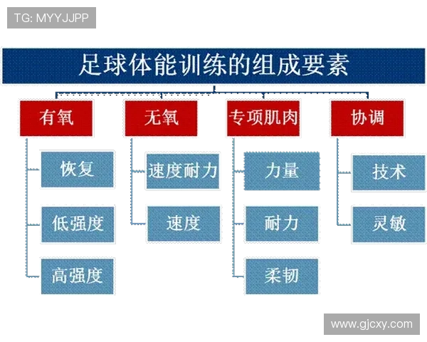 热议足球：深圳足球队的耐力变革