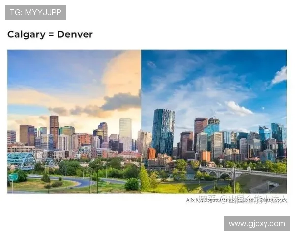 多伦多与休斯顿城市发展对比分析及未来展望探讨