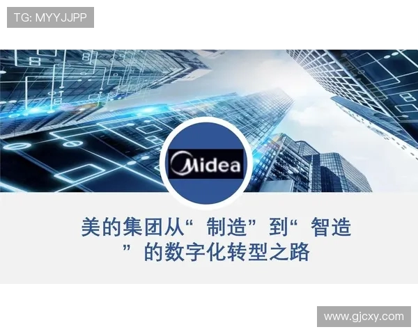 南京排球队转型之路：从传统强队到现代竞技新标杆的深度解析