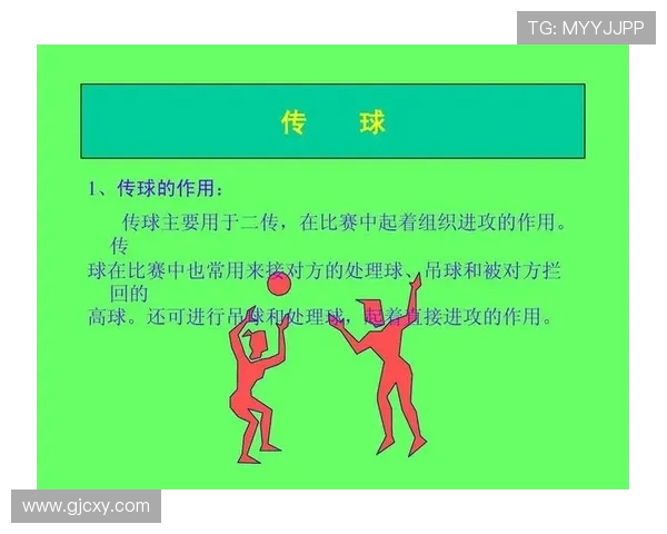 成都排球队反击战术深度解析与实战应用探讨