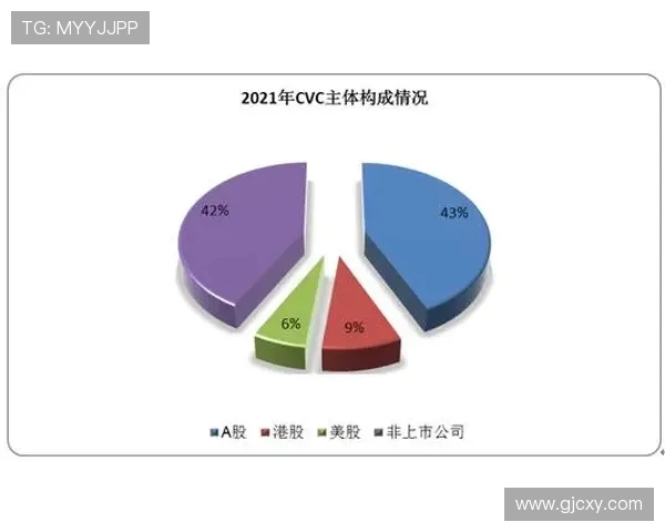 深入解析上海攀岩队实力表现的数据分析与趋势研究