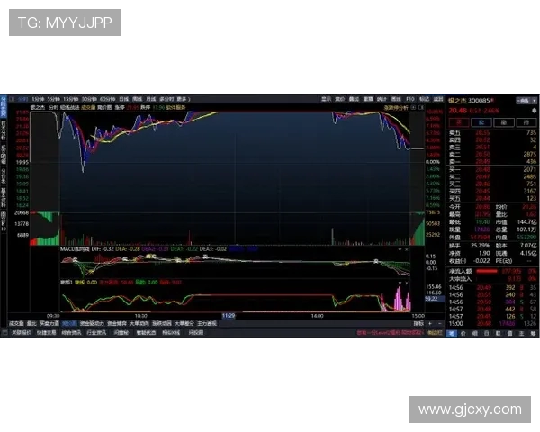 LNG在Major赛中的技术表现分析与战术解读