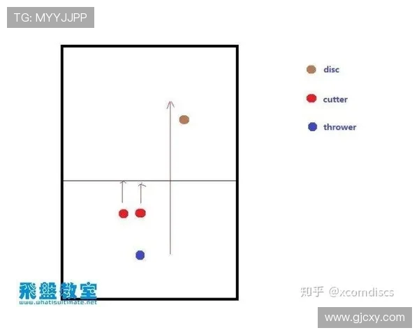 北京飞盘队区域防守分析：优劣势与战术调整探讨
